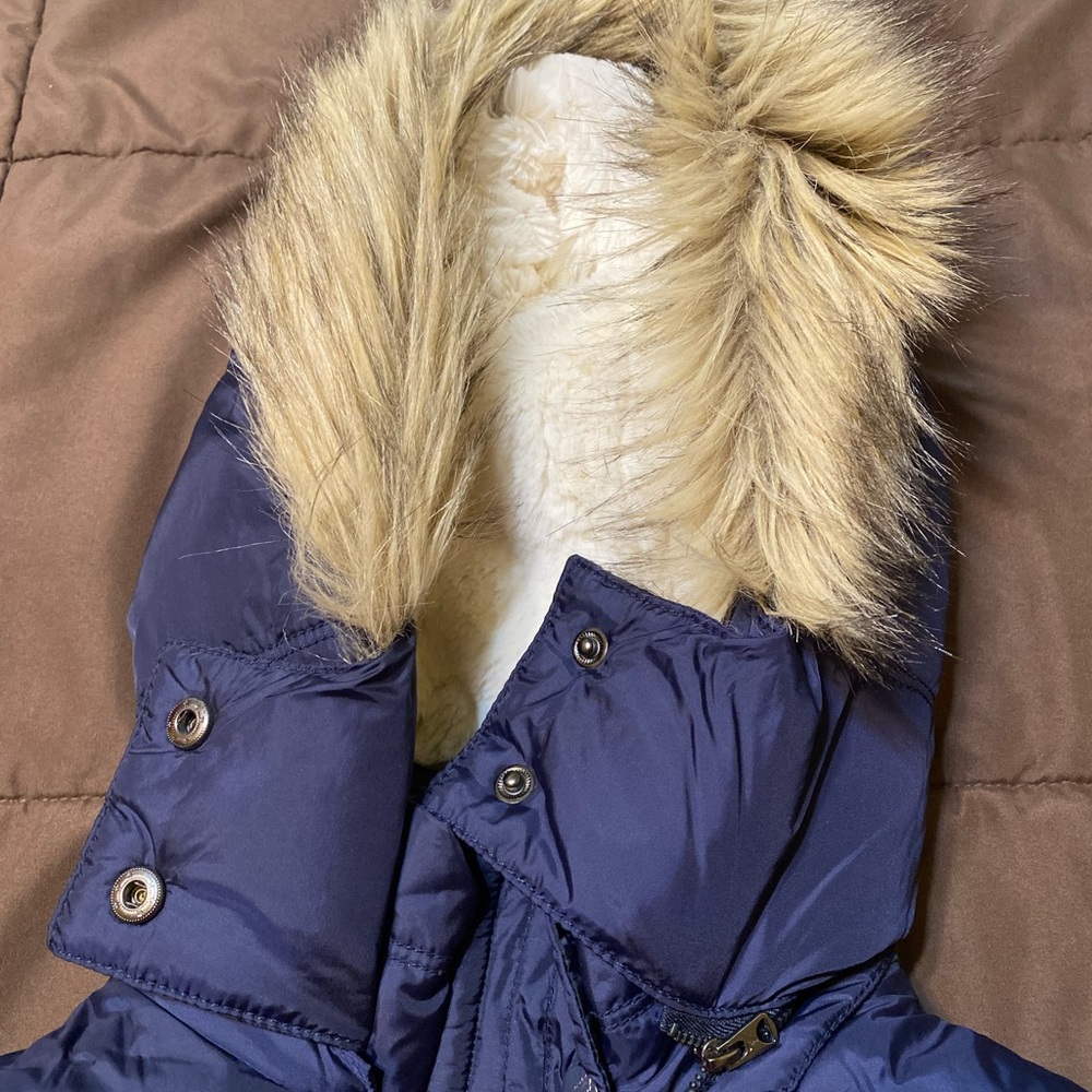 American eagle - Picture 2 of 5